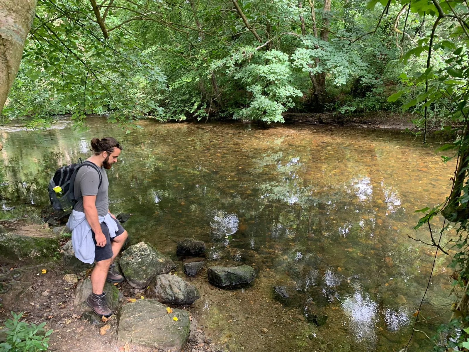 Barney walking beside a woodland stream